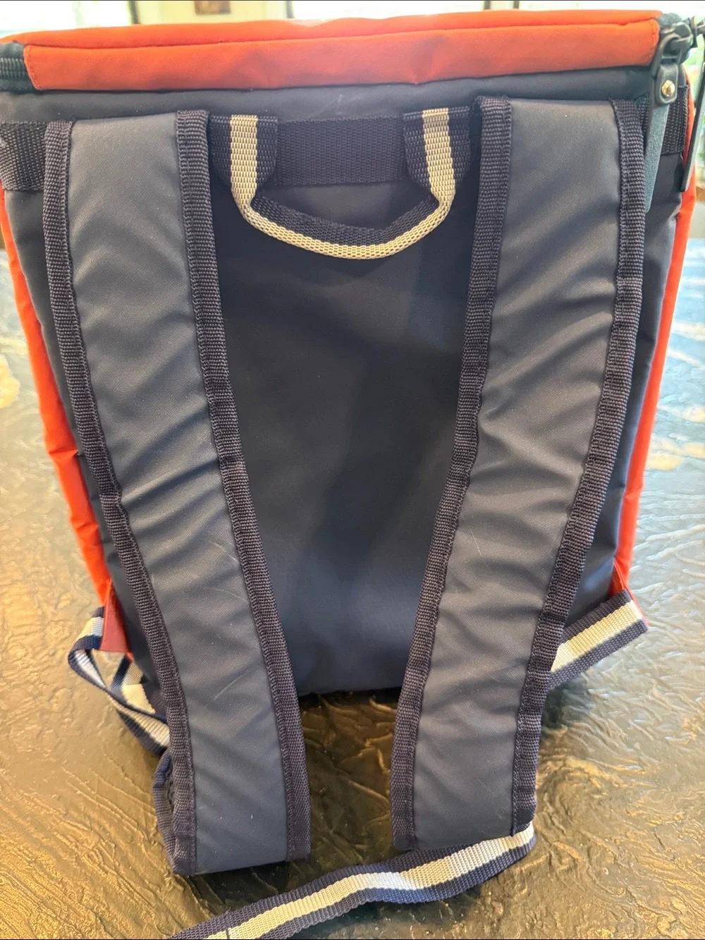 Life Is Good Orange Dog Graphic Pet Backpack with Navy Trim